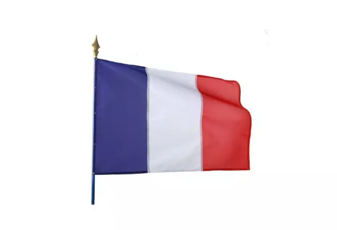 Visuel du drapeau sur hampe tricolore - Cofradis Collectivités