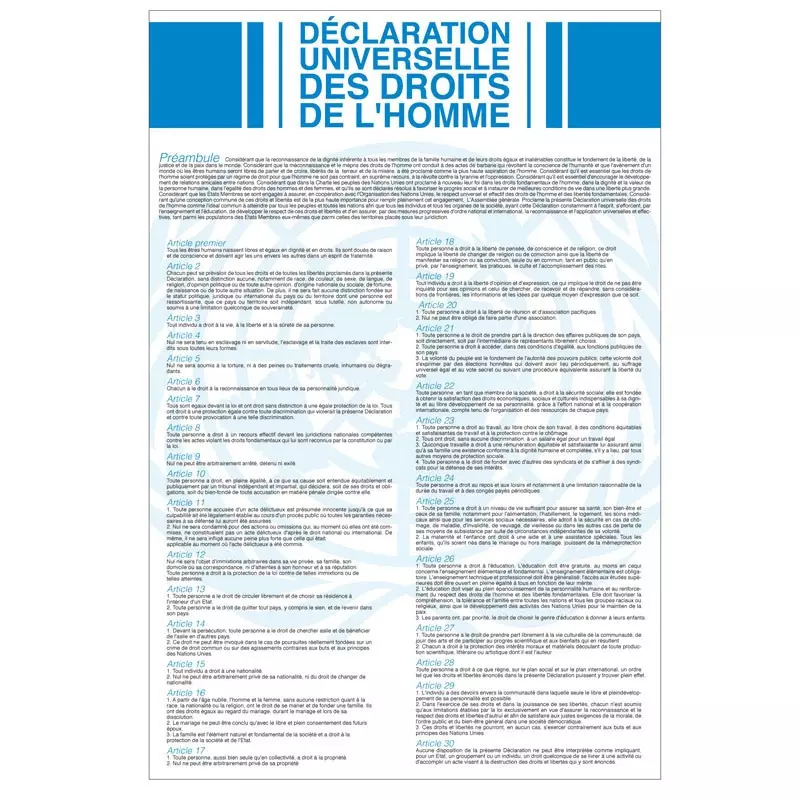 Affiche sur la "Déclaration des Droits de l'Homme et du Citoyen"