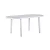 Table polypro ovale blanche pieds emboîtables