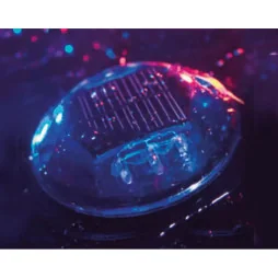 plot routier led solaire vue de nuit