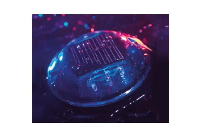 plot routier led solaire vue de nuit