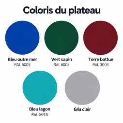 coloris de la table de ping pong extérieure Diabolo